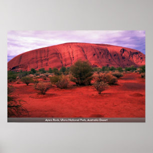 Ayers Sten, Uluru nationalpark, Australiens öken Poster
