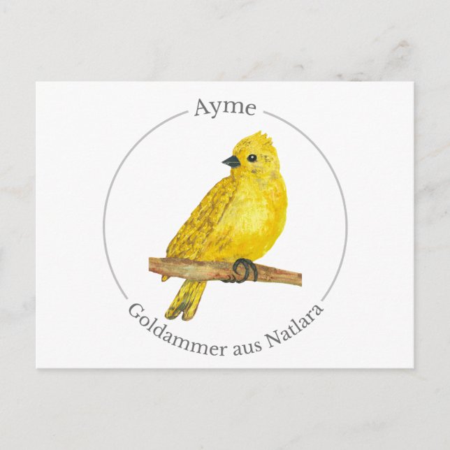 Ayme -  Goldammer aus Natlara Vykort (Framsida)