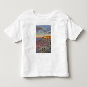 AZ, Arizona, Grand Canyon National Park, söder T Shirt