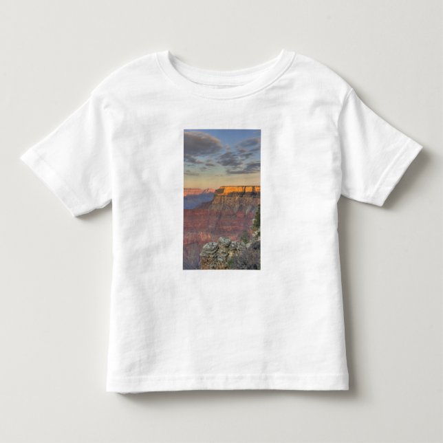 AZ, Arizona, Grand Canyon National Park, söder T Shirt (Framsida)