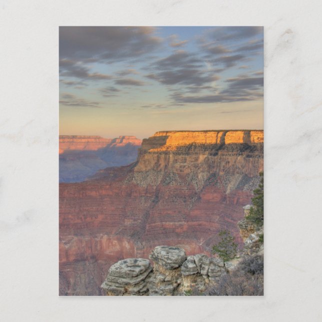 AZ, Arizona, Grand Canyon National Park, söder Vykort (Framsida)