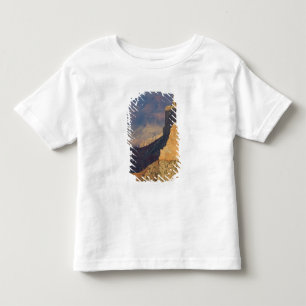 AZ, Arizona, Grand Canyon National Park, South 8 T Shirt