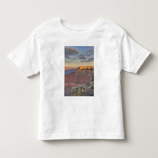 AZ, Arizona, Grand Canyon National Park, South T Shirt (Framsida)
