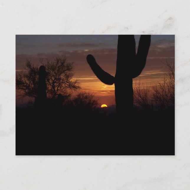 AZ sunset 1 Vykort (Framsida)