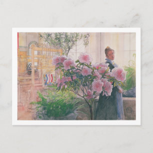 Azalea, 1906 (w/c on papper) vykort