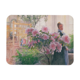 Azalea 1906 (w/c på papper) magnet