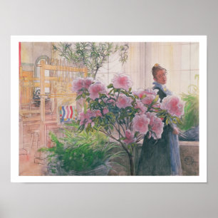Azalea 1906 (w/c på papper) poster