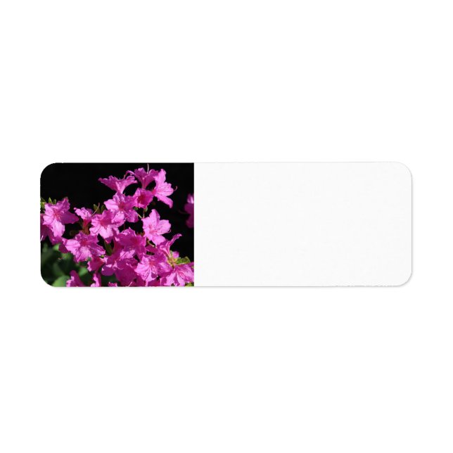 Azalea-adressetikett Returadress Etikett (Framsidan)