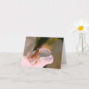 Azalea Blomma Och Gräshoppa Personlig Notering Kort