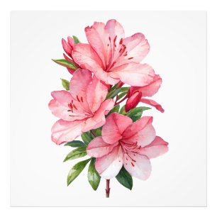 Azalea-blommans vattenfärgfärgning fototryck