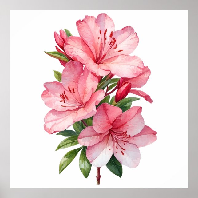 Azalea-blommans vattenfärgfärgning poster (Framsidan)