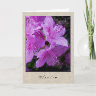 Azalea - Blommigt Series Kort
