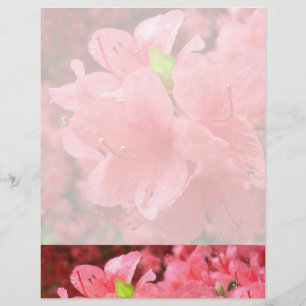 Azalea Fält - Letterhead