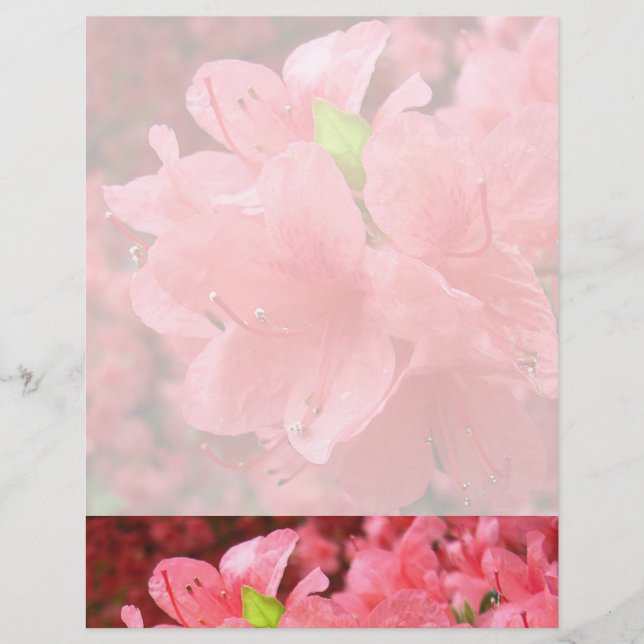 Azalea Fält - Letterhead (Framsida)