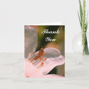 Azalea Flower och Grashopper tackkort