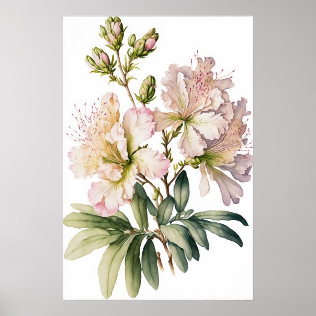  Azalea Flowers Art Skriv ut Poster (Framsidan)