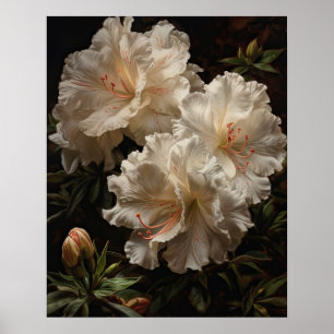 Azalea Flowers Art Skriv ut Poster