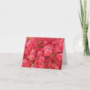 Azalea-hälsningskort Kort