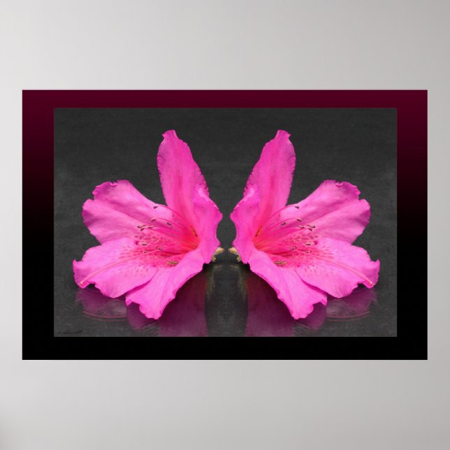 Azalea Mirrored Poster -36x24 - andra storlekar oc (Framsidan)