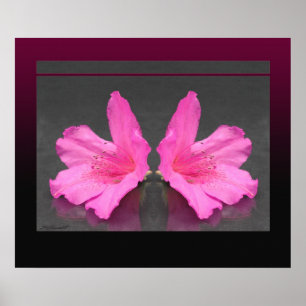 Azalea Mirrored Print -24x20 -andra storlekar ocks Poster