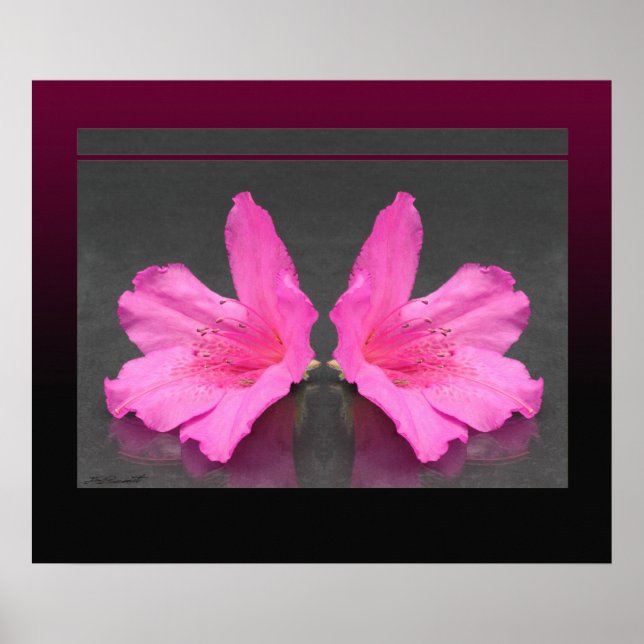 Azalea Mirrored Print -24x20 -andra storlekar ocks Poster (Framsidan)