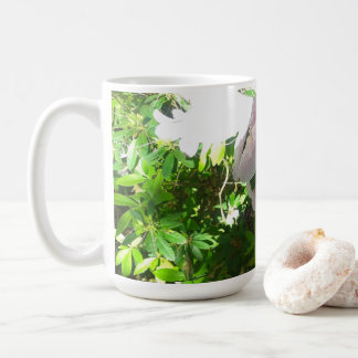 Azalea Mugg