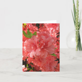 Azalea Notecard Kort