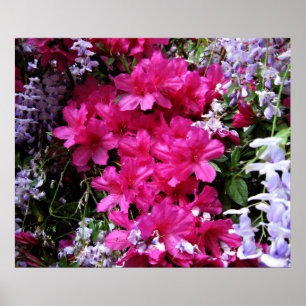 azalea och wisteria poster