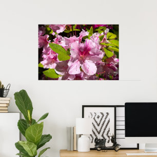 Azalea Poster