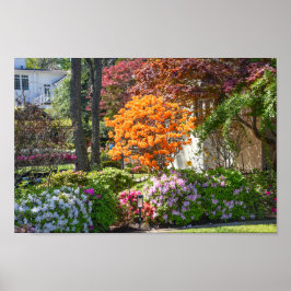 Azalea Trail Garden i Tyler, Texas Poster