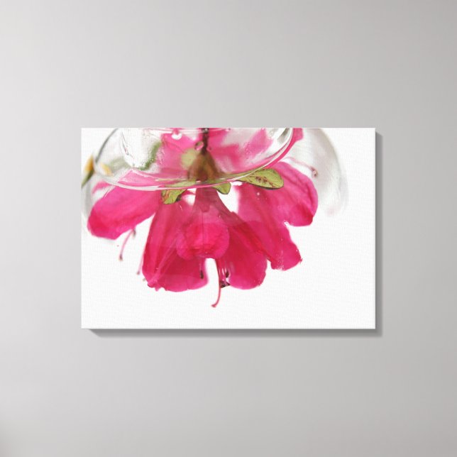 azalea under canvastryck (Framsida)