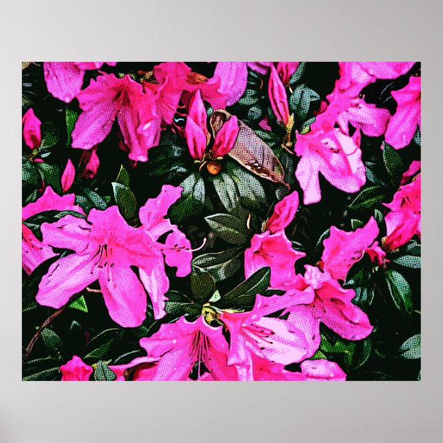 Azaleas 6082 poster (Framsidan)