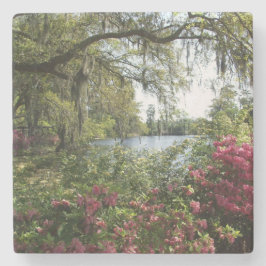 Azaleas Airlie trädgårdar Stenunderlägg