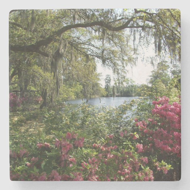 Azaleas Airlie trädgårdar Stenunderlägg (Framsidan)