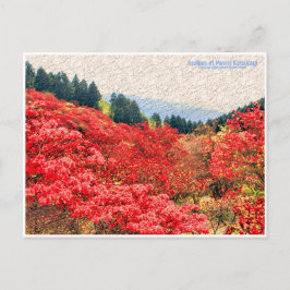 Azaleas at Mount Katsuragi ポストカード Vykort