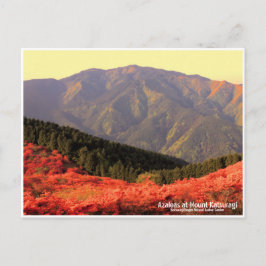 Azaleas at Mount Katsuragi ポストカード Vykort