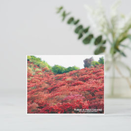 Azaleas at Mount Katsuragi ポストカード Vykort