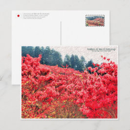 Azaleas at Mount Katsuragi ポストカード Vykort