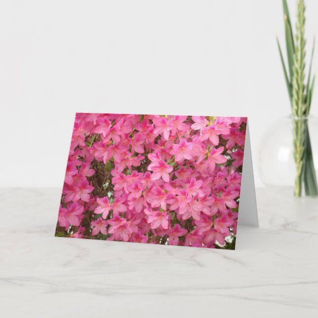 AZALEAS Azalea Flowers GREETING CARDS CARD NOTE Kort (Framsida)
