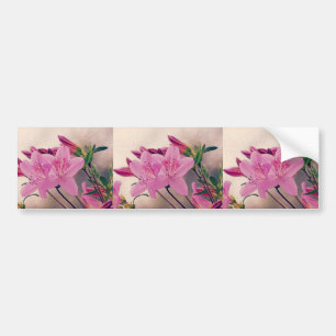 Azaleas Bildekal