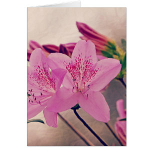 Azaleas Hälsningskort