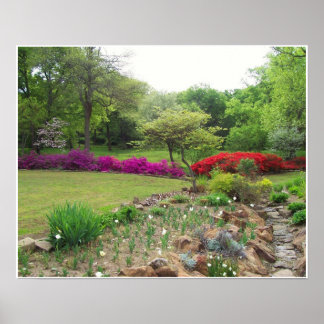 Azaleas i Oklahoma Poster