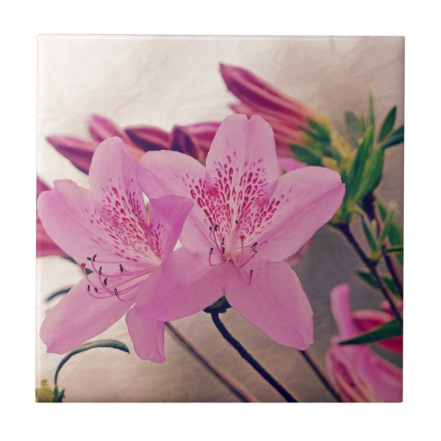 Azaleas Kakelplatta (Framsidan)