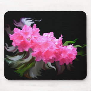 Azaleas Musmatta