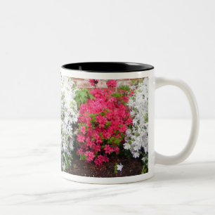 Azaleas omslutning kring Mugg