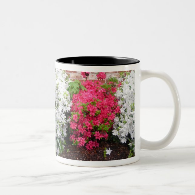 Azaleas omslutning kring Mugg (Höger)