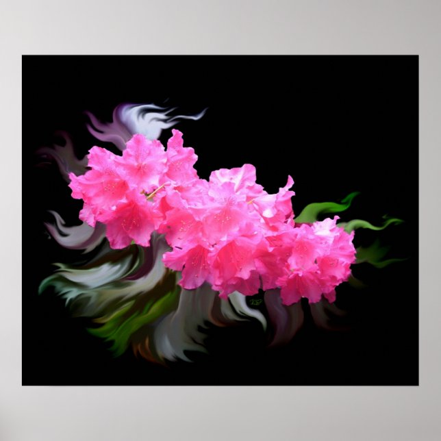 Azaleas Poster (Framsidan)