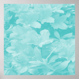 Azaleas... Poster