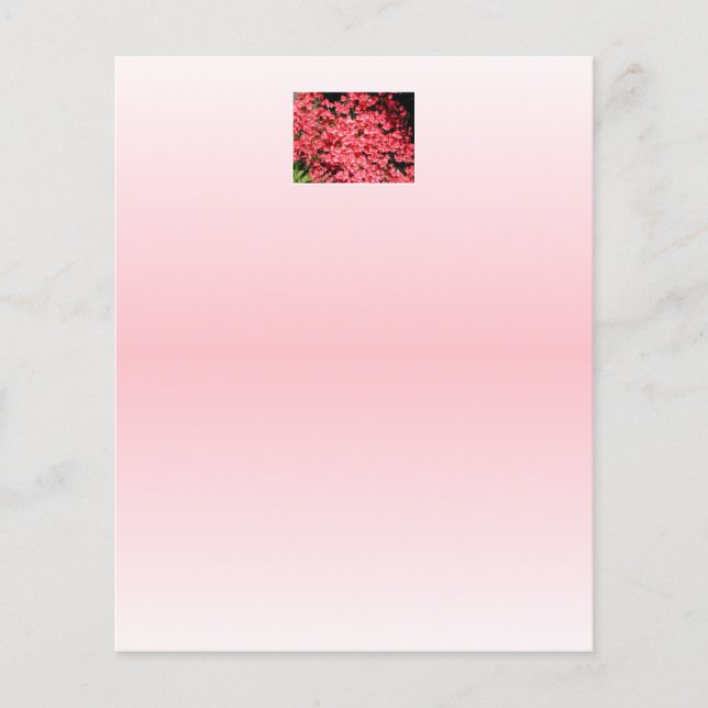 Azaleas. Söt Rosa Flowers. (Framsida)