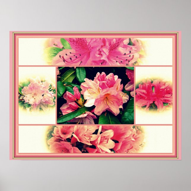 Azaleas Stil 1950 Poster (Framsidan)